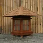 morepic-4